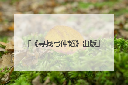 《寻找弓仲韬》出版