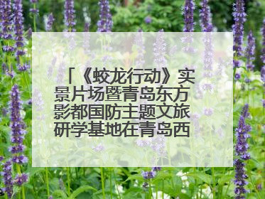 《蛟龙行动》实景片场暨青岛东方影都国防主题文旅研学基地在青岛西海岸新区开业