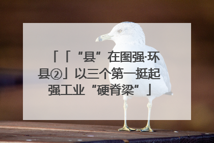 「“县”在图强·环县②」以三个第一挺起强工业“硬脊梁”