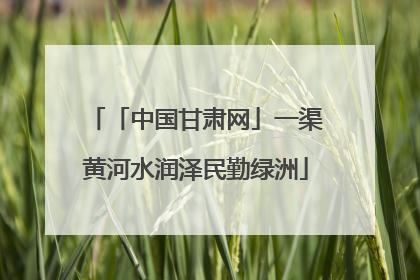 「中国甘肃网」一渠黄河水润泽民勤绿洲