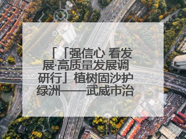 「强信心 看发展·高质量发展调研行」植树固沙护绿洲——武威市治沙造林筑牢生态安全屏障见闻