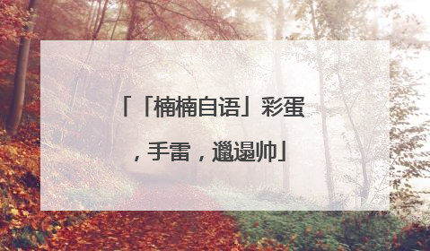 「楠楠自语」彩蛋，手雷，邋遢帅