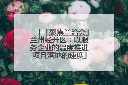 「聚焦兰洽会」兰州经开区：以服务企业的温度推进项目落地的速度