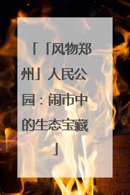「风物郑州」人民公园：闹市中的生态宝藏