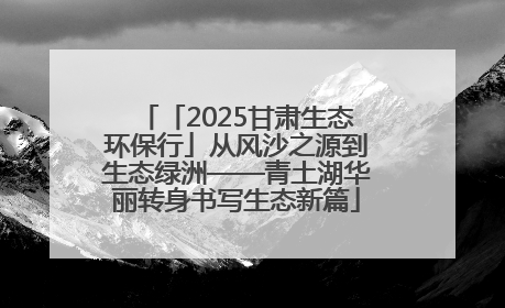 「2025甘肃生态环保行」从风沙之源到生态绿洲——青土湖华丽转身书写生态新篇