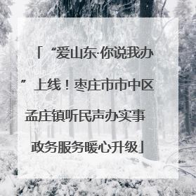 “爱山东·你说我办”上线！枣庄市市中区孟庄镇听民声办实事 政务服务暖心升级