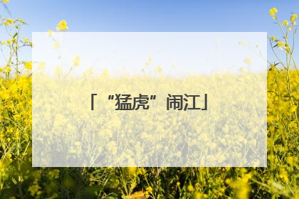“猛虎”闹江