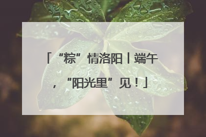 “粽”情洛阳丨端午，“阳光里”见！