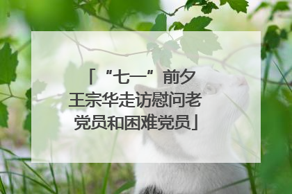 “七一”前夕 王宗华走访慰问老党员和困难党员