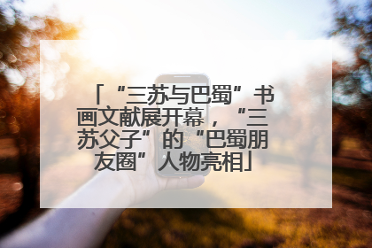 “三苏与巴蜀”书画文献展开幕，“三苏父子”的“巴蜀朋友圈”人物亮相