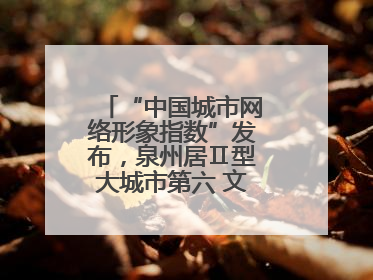 “中国城市网络形象指数”发布，泉州居Ⅱ型大城市第六 文化形象引关注
