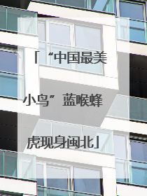 “中国最美小鸟”蓝喉蜂虎现身闽北