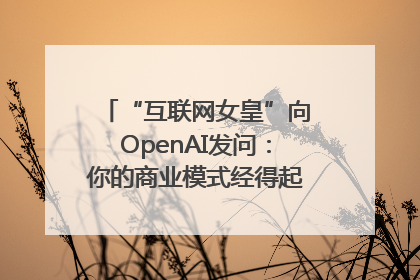 “互联网女皇”向OpenAI发问：你的商业模式经得起价格战考验么？