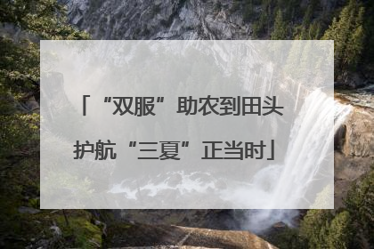 “双服”助农到田头 护航“三夏”正当时