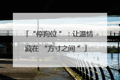 “停狗位 ”：让温情藏在 “方寸之间 ”