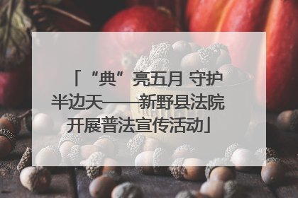 “典”亮五月 守护半边天——新野县法院开展普法宣传活动