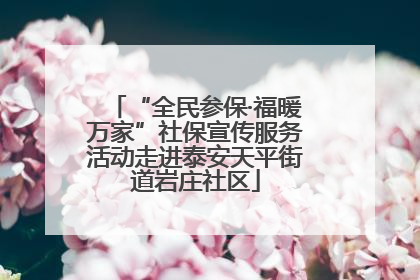“全民参保·福暖万家”社保宣传服务活动走进泰安天平街道岩庄社区