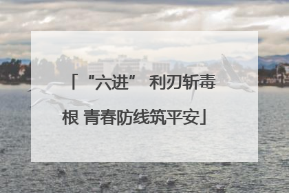“六进” 利刃斩毒根 青春防线筑平安