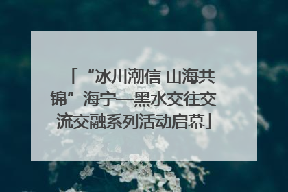 “冰川潮信 山海共锦”海宁—黑水交往交流交融系列活动启幕
