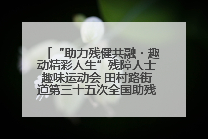 “助力残健共融・趣动精彩人生”残障人士趣味运动会 田村路街道第三十五次全国助残日主题活动圆满举办