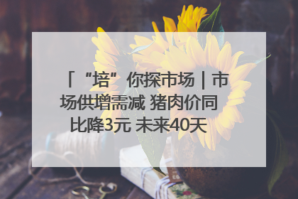 “培”你探市场｜市场供增需减 猪肉价同比降3元 未来40天便宜猪肉敞开吃