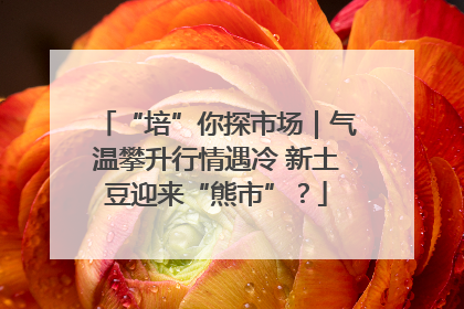 “培”你探市场｜气温攀升行情遇冷 新土豆迎来“熊市”？