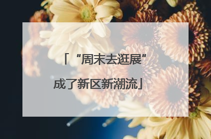 “周末去逛展”成了新区新潮流