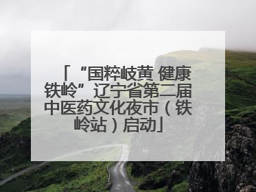 “国粹岐黄 健康铁岭”辽宁省第二届中医药文化夜市（铁岭站）启动