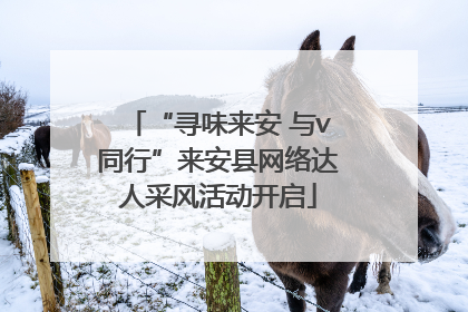 “寻味来安 与v同行”来安县网络达人采风活动开启