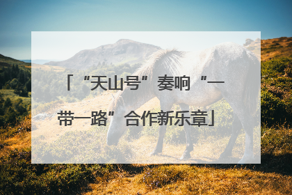 “天山号”奏响“一带一路”合作新乐章