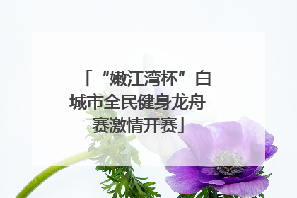 “嫩江湾杯”白城市全民健身龙舟赛激情开赛