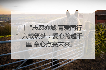 “志愿亦城·青爱同行”六载筑梦：爱心跨越千里 童心点亮未来