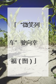 “微笑列车”驶向幸福（图）