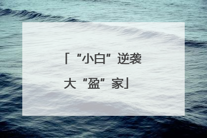 “小白”逆袭大“盈”家