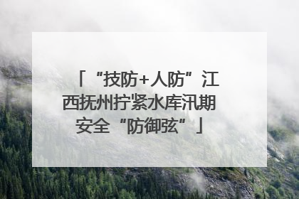 “技防+人防”江西抚州拧紧水库汛期安全“防御弦”