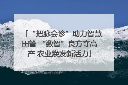 “把脉会诊”助力智慧田管 “数智”良方夺高产 农业焕发新活力