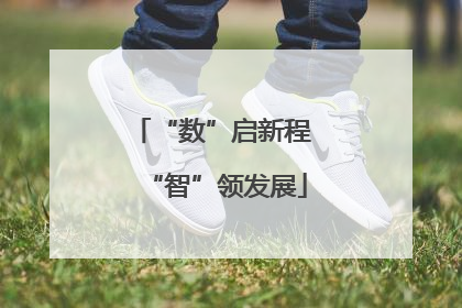 “数”启新程 “智”领发展