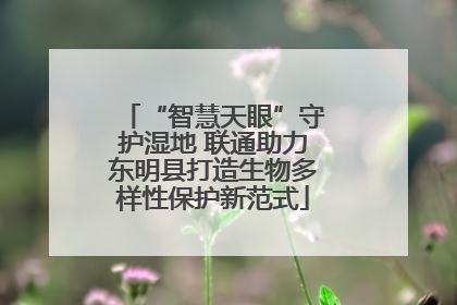 “智慧天眼”守护湿地 联通助力东明县打造生物多样性保护新范式