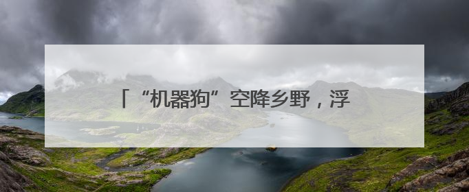 “机器狗”空降乡野，浮桥镇首堂科普课嗨爆了