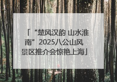 “楚风汉韵 山水淮南”2025八公山风景区推介会惊艳上海