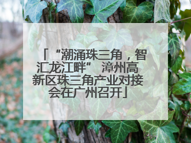 “潮涌珠三角，智汇龙江畔” 漳州高新区珠三角产业对接会在广州召开