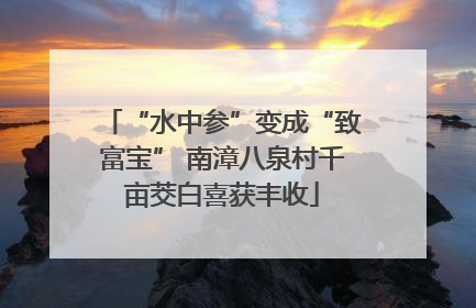 “水中参”变成“致富宝” 南漳八泉村千亩茭白喜获丰收