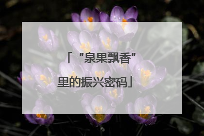 “泉果飘香”里的振兴密码
