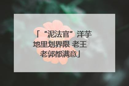 “泥法官”洋芋地里划界限 老王老郭都满意
