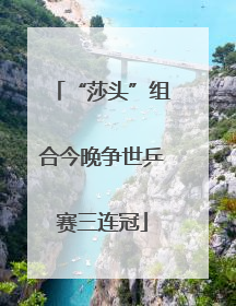 “莎头”组合今晚争世乒赛三连冠