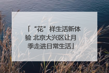 “花”样生活新体验 北京大兴区让月季走进日常生活