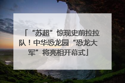 “苏超”惊现史前拉拉队！中华恐龙园“恐龙大军”将亮相开幕式
