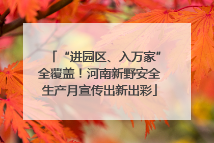“进园区、入万家”全覆盖！河南新野安全生产月宣传出新出彩