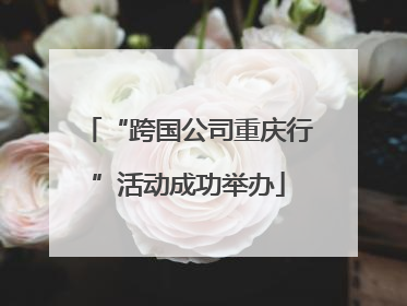 “跨国公司重庆行”活动成功举办