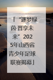 “逐梦绿茵·晋享未来”2025年山西省青少年足球联赛揭幕